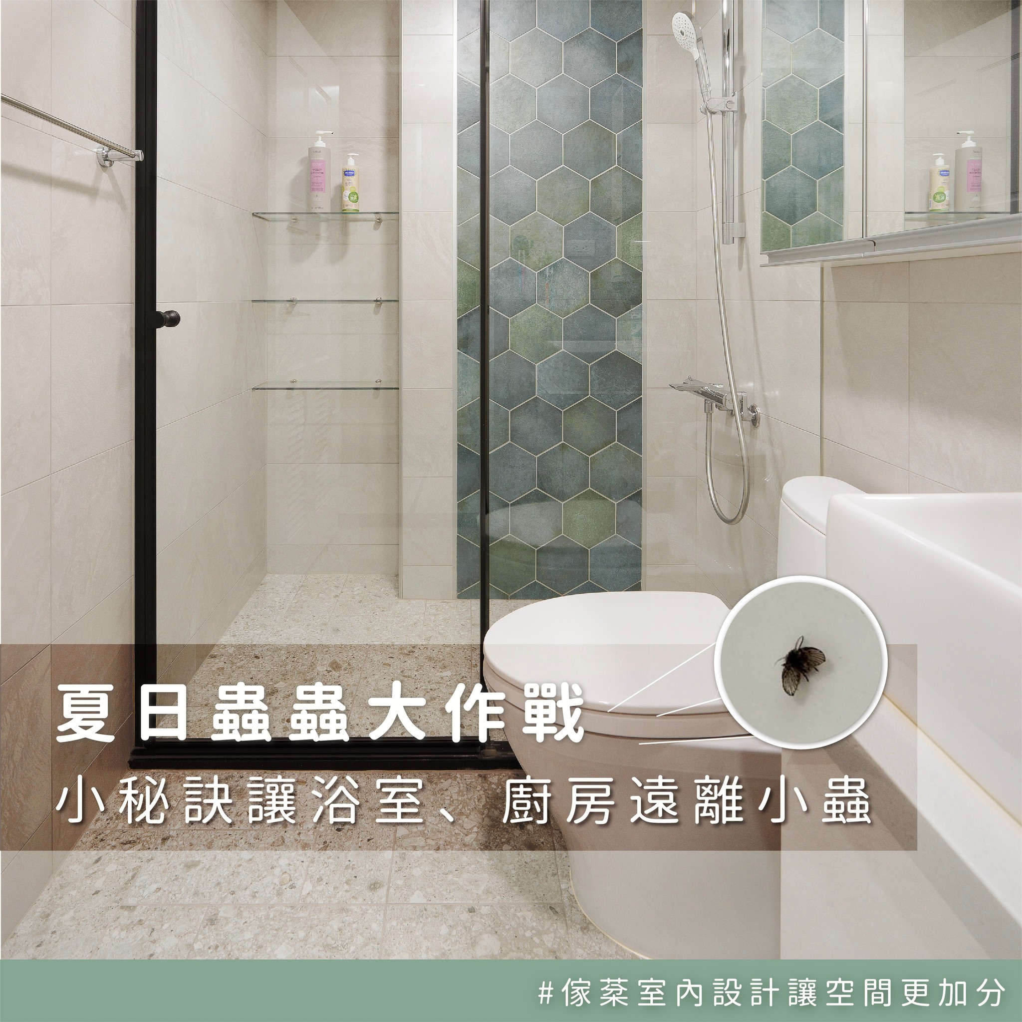 遠離蟲蟲大作戰！