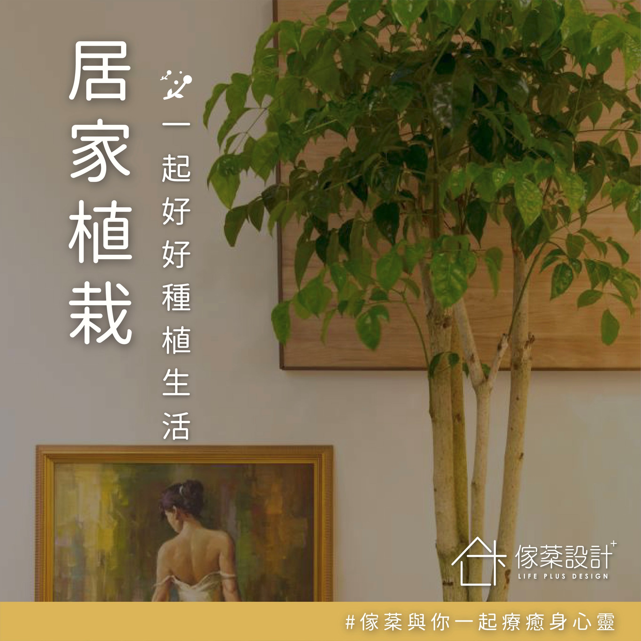 居家植栽，一起在家種植一些綠色植物吧！