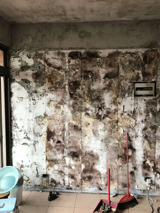 傢棻_舊屋翻新/拆除